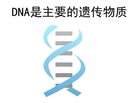 DNA是遗传物质