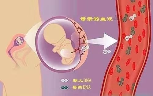 刚怀孕怎么做广西亲子鉴定？